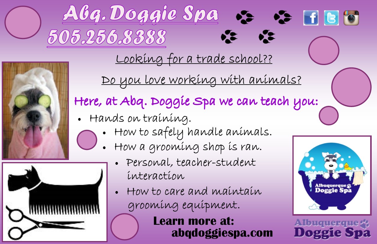 Albuquerque Doggie Spa Dog Groomer